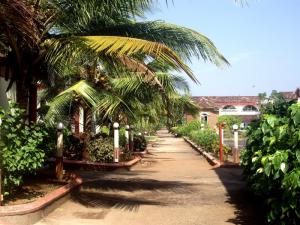 Colonia Jose Menino