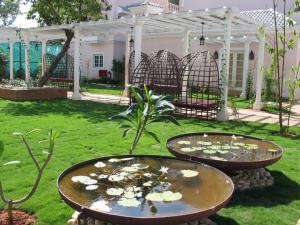 The Retreat By Zuri (ex.Country Inn and Suites)